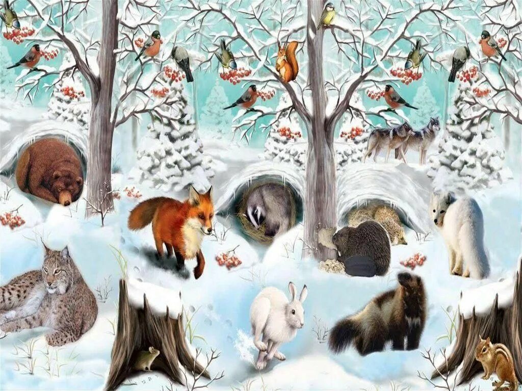 Зимуют группами. Дикие животные готовятся к зиме. Жизнь животных зимой в лесу. Лесные звери и птицы. Как зимуют животные.