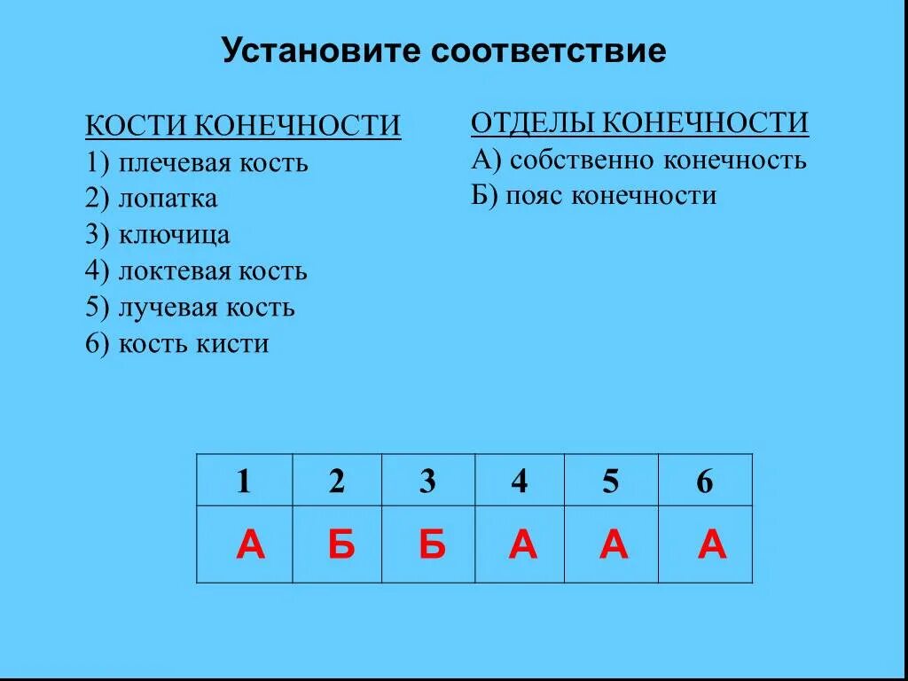 Установите соответствие между скелетом и костями. Соответствие кости и отделы конечностей.. Кроссворд на тему опорно двигательная система человека. Тестирование по биологии 8 класс опорно двигательная.