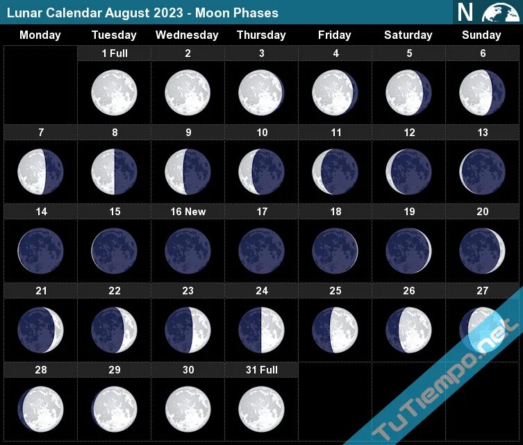 Moon Calendar 2023. Moon phase Calendar 2023. Лунный календарь фото. Full Moon Calendar 2022