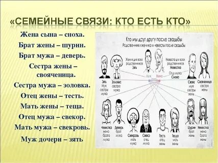 Сводные братья считаются родными