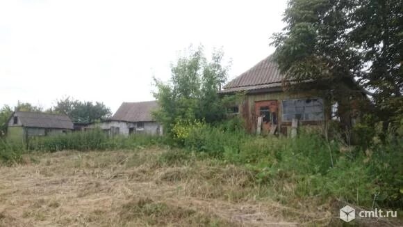 Погода в запрудском каширского. Село запрудское воронежская область. Село запрудское. Погода в запрудском каширского. Село запрудское.