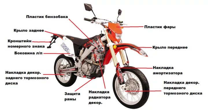 Как называется передняя задняя