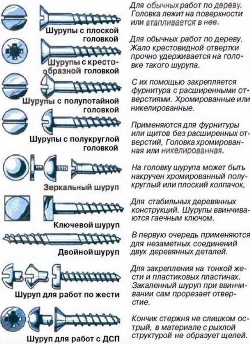 Виды болтов саморезов. Виды болтов шурупов саморезов. Классификация шуруп винт болт. Наименования болтов саморезов. Каких видов бывают размеры