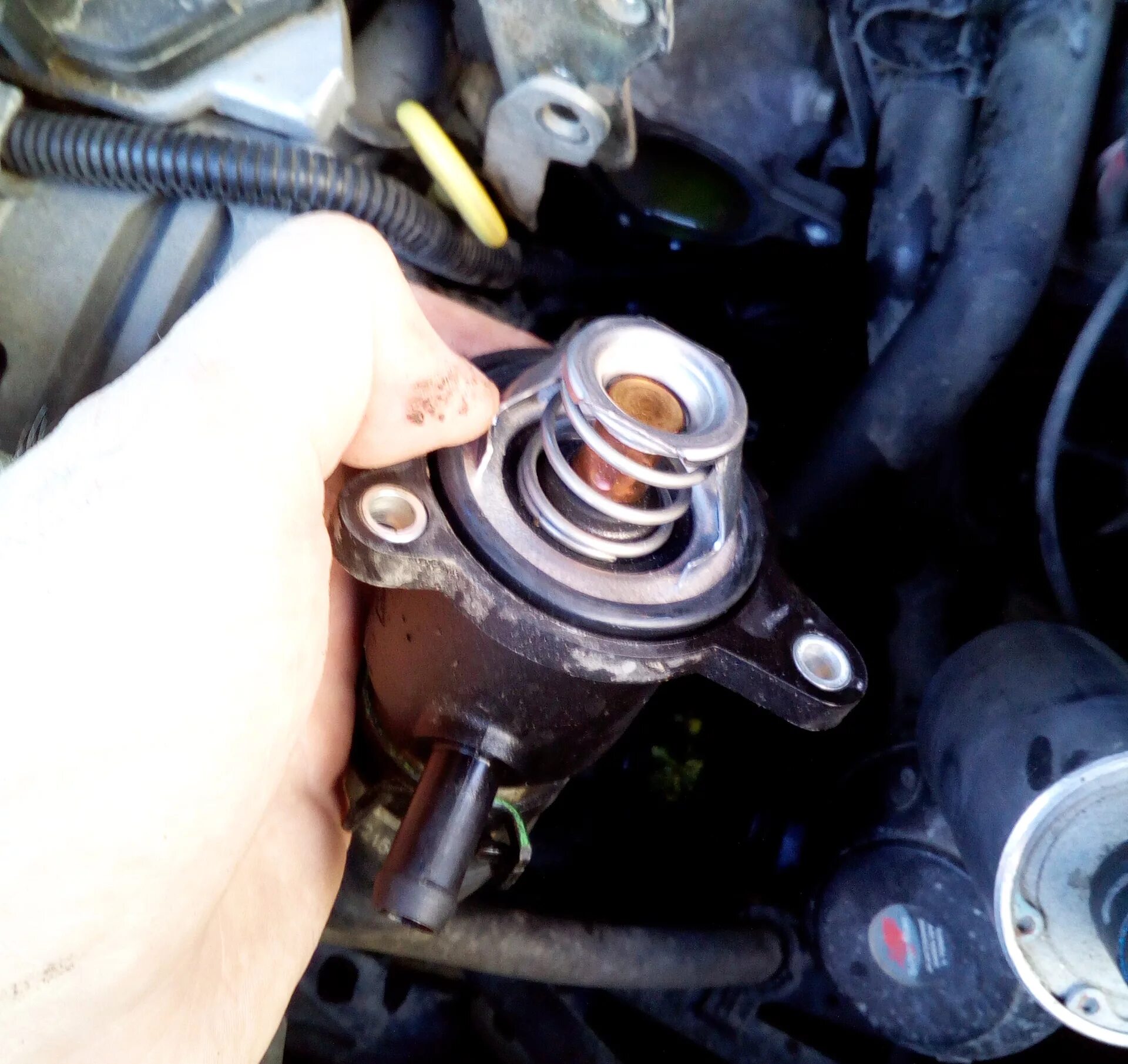 4. 9. Термостат логан 1. Как поменять самому термостат. Как поменять самому термостат.