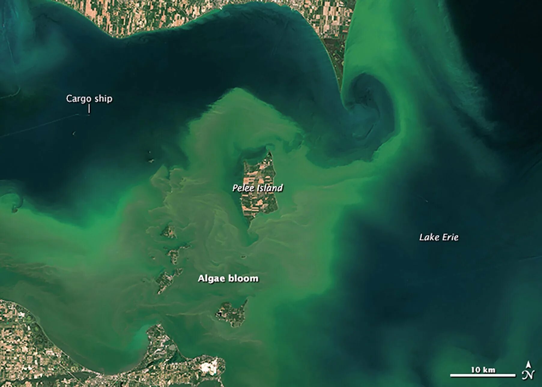 Озеро сент клэр. Сент-клэр (озеро, северная америка). algal blooms in lake erie. озеро эри. цветение озера сент-клер эри наса снимки.