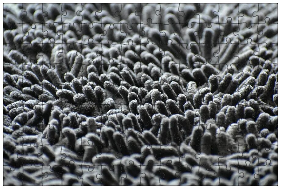 Плотный ворс. Ткань с ворсинками. Ворс под микроскопом. Ковер с ворсом. Ковролин с ворсом.