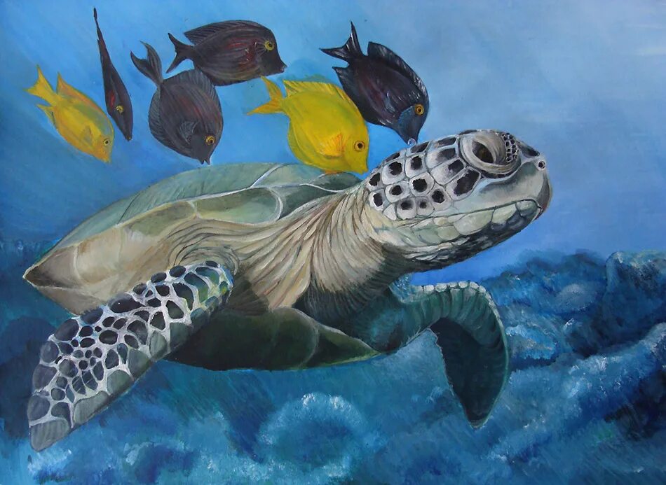 Обои зеленое море. Морская сказка 2. Морские сказки. Гостиница морской в адлере. Коралл санго.