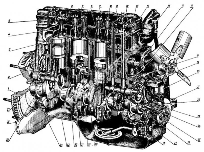 Мотор трактора МТЗ 240 схема. Двигатель МТЗ Д 240. Схема двигателя МТЗ 82. Схема двигателя д 240 МТЗ.