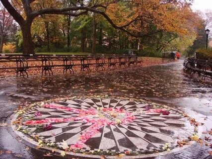 Strawberry fields