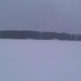 Автобус лечищево