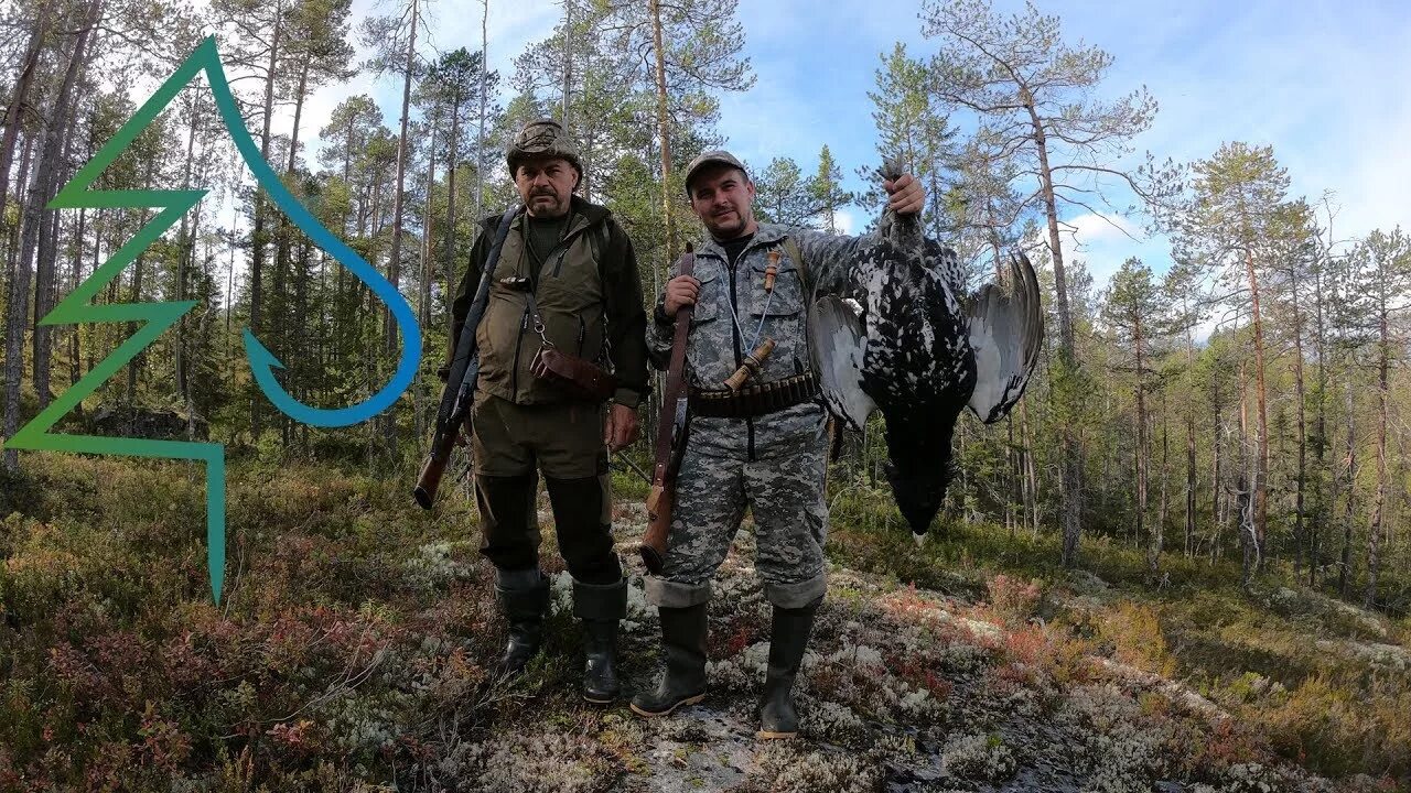 Жизнь в тайге охота видео. Глухарь Карелия. Охота в Карелии на глухаря. Охота на глухаря часть 2015.