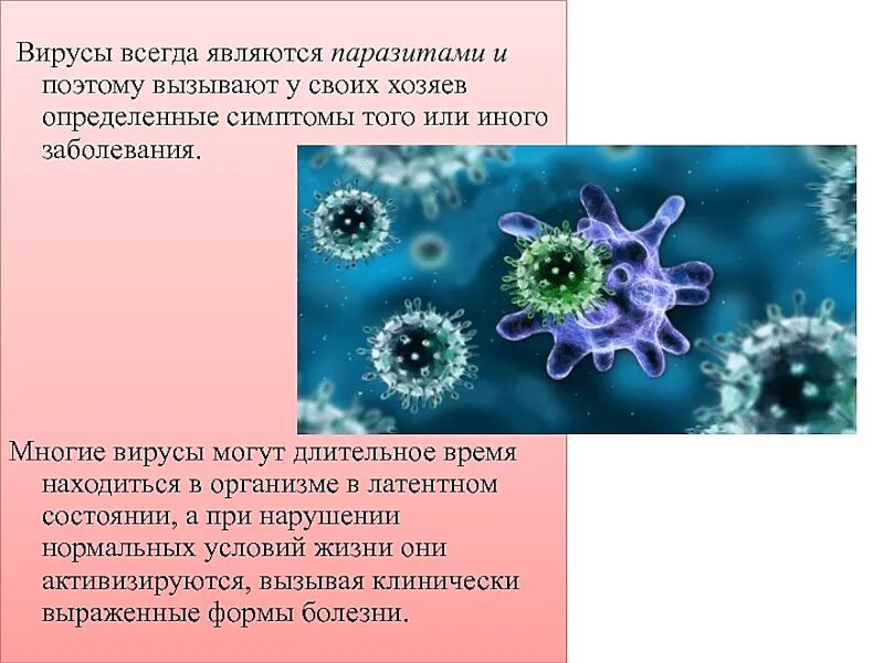 Почему вирусы выпадают из общего ряда. Вирусы. Паразит вирус вирус. Вирусы являются паразитами. Вирусы паразитирующие на другихвиручах.