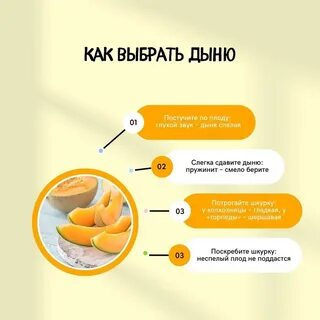 Можно ли кормящим дыня