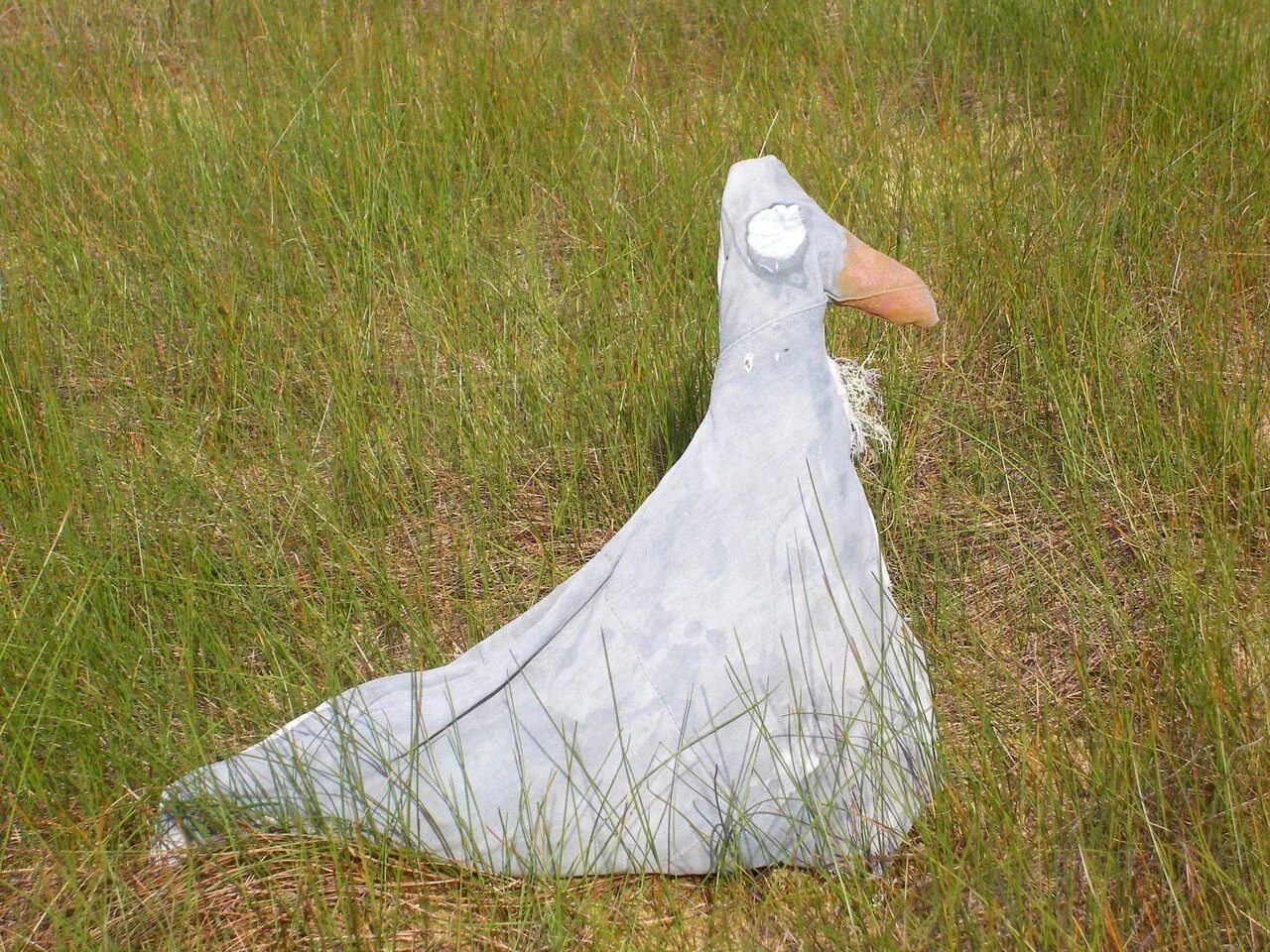 Чучела гуся из материи. Колышки для чучел гусей. Avery ghg goose decoys. Тульская область гусиные бои. Usb гусь.