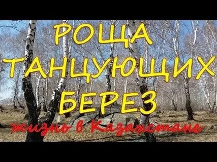 Березовая роща танцы
