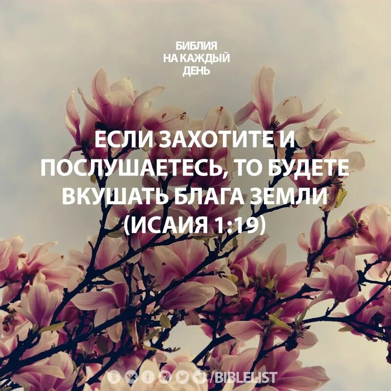 Международный день солидарности людей. Земля в руках. Будущее в наших руках. Благо земли 1. Чистая природа экология.