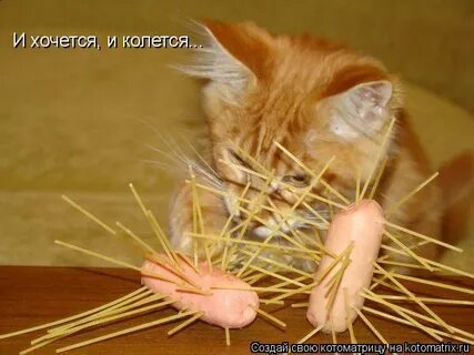 Хочется но колется