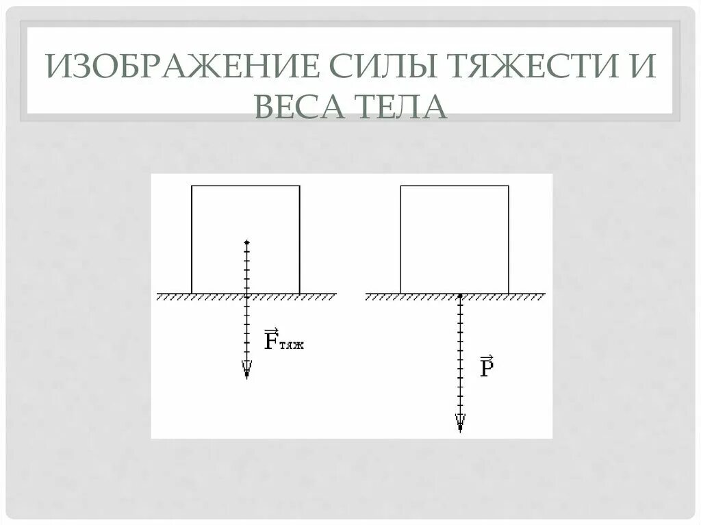 Вид показанный на рисунке. Изображение силы тяжести и веса тела. Графическое изображение силы тяжести. Изображениесилф тяжести. Схематическое изображение силы тяжести.