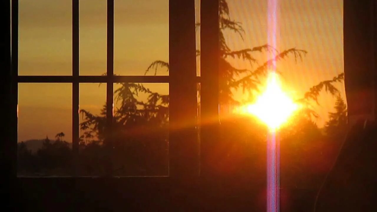 Wake window