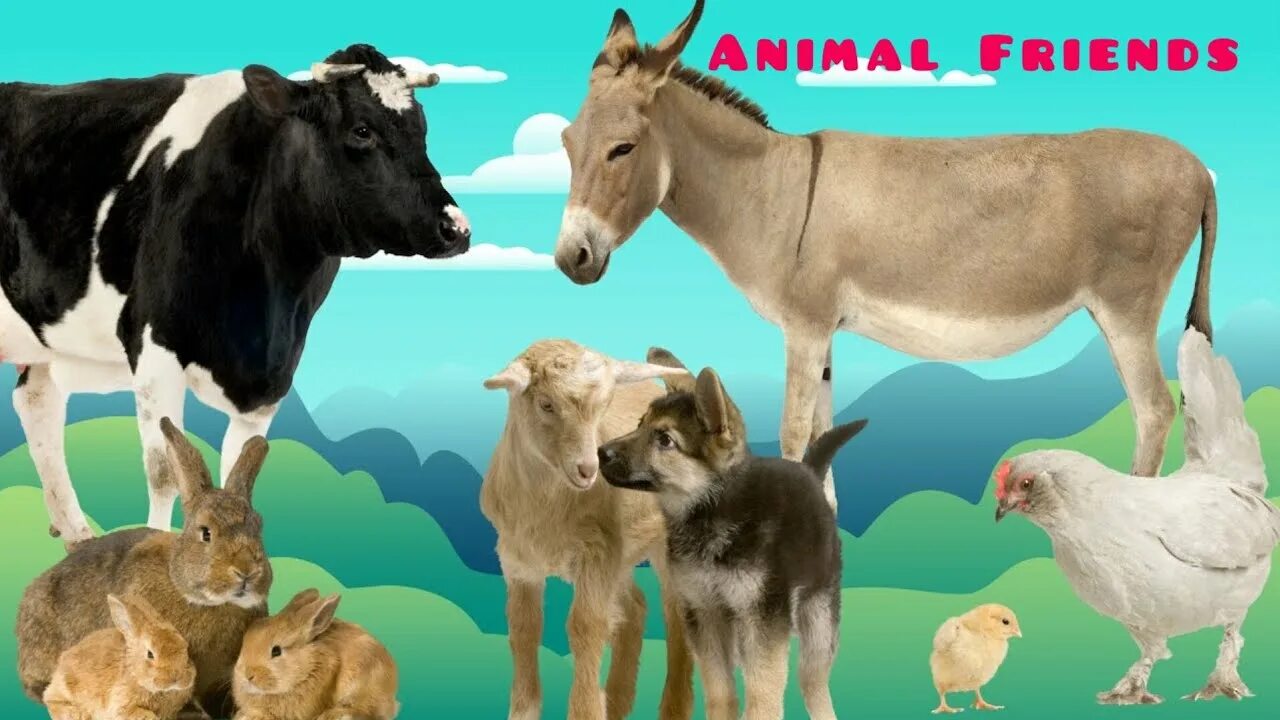 Farm animals Sounds.