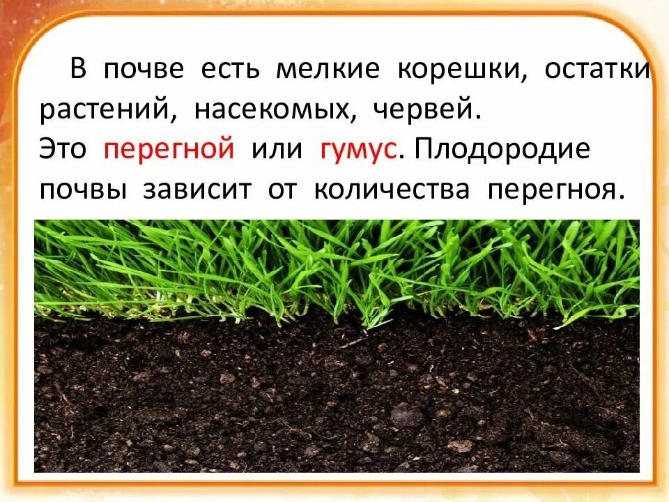 Проект почва 3 класс окружающий мир Рассказ про почву: найдено 81 изображений