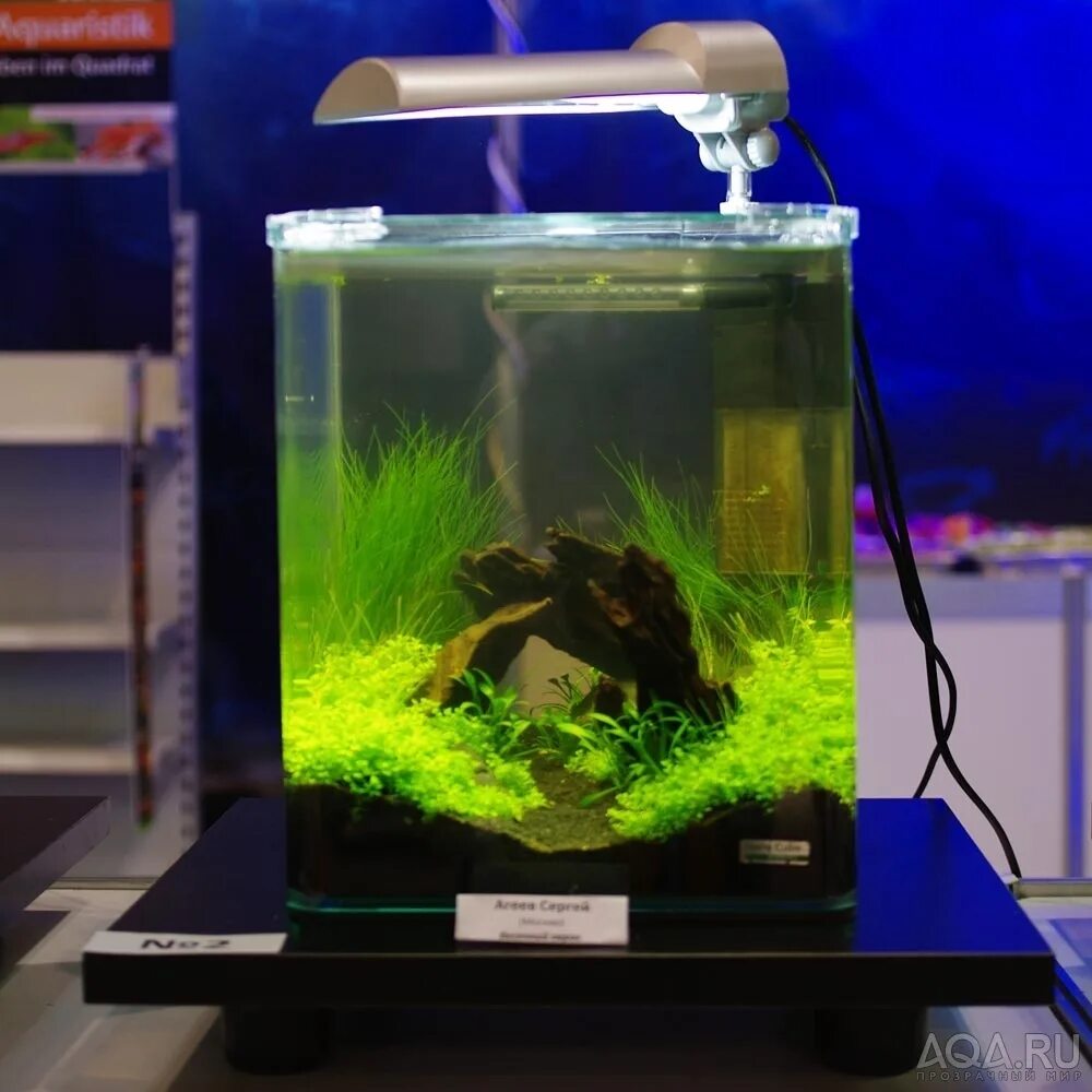Nano cube. Аквариум dennerle nanocube, 20 л. аквариум денерле куб 30 литров. нано куб 30 литров. аквариум nano cube 20.