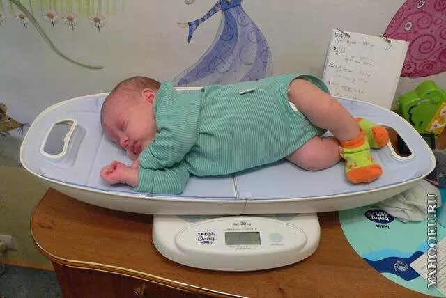 диабетическая фетопатия новорожденных. вес новорожденного ребенка 4 кг. новорожденных с весом 2400. вес новорожденного ребенка 4 кг. вес новорожденного ребенка.