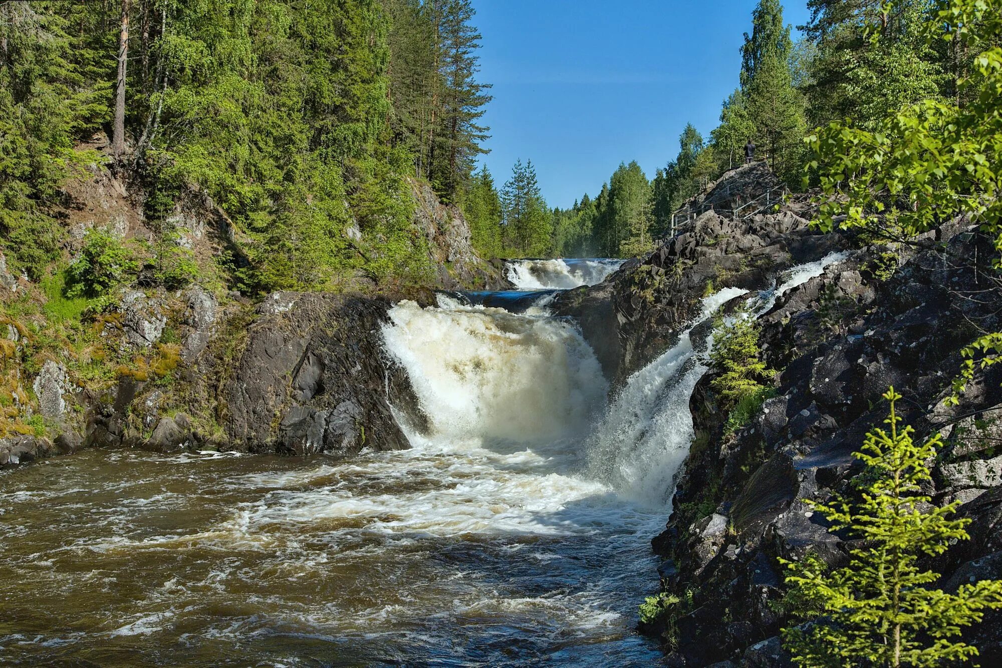 Водопад в карелии название. Водопады Кивач Кивач. Заповедник и водопад Кивач. Заповедник Кивач в Карелии. Карельский водопад Кивач.