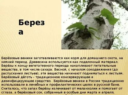 Огэ в воздухе пахучей струей разливался