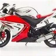 Motoland r1 300