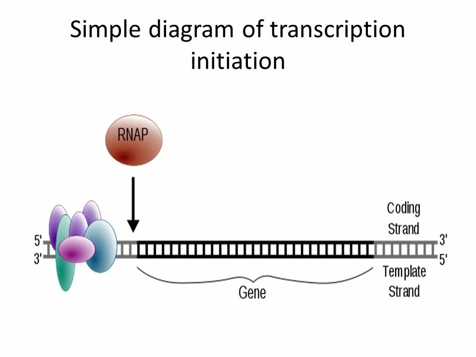Simple diagrams