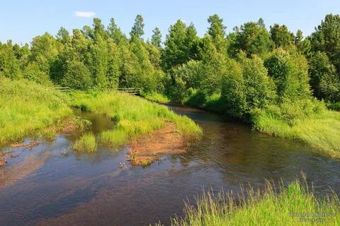 Река южнее остальных