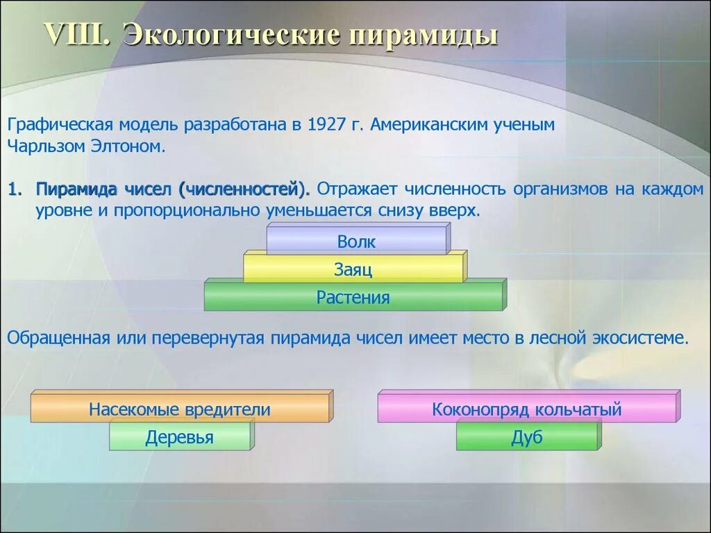 Экологическая пирамида численности. Пирамида биомасс пирамида чисел пирамида энергии. Экологические пирамиды чисел биомассы энергии. Экологическая пирамида биомассы Перевернутая. Составление экологической пирамиды.