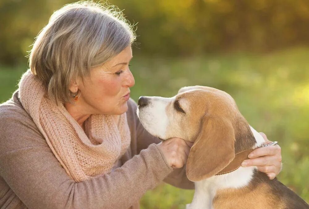 Собака для пожилых людей. Собака для пожилых людей. Пожилые люди и животные. Собака для пожилых людей. Пенсионер с собачкой.