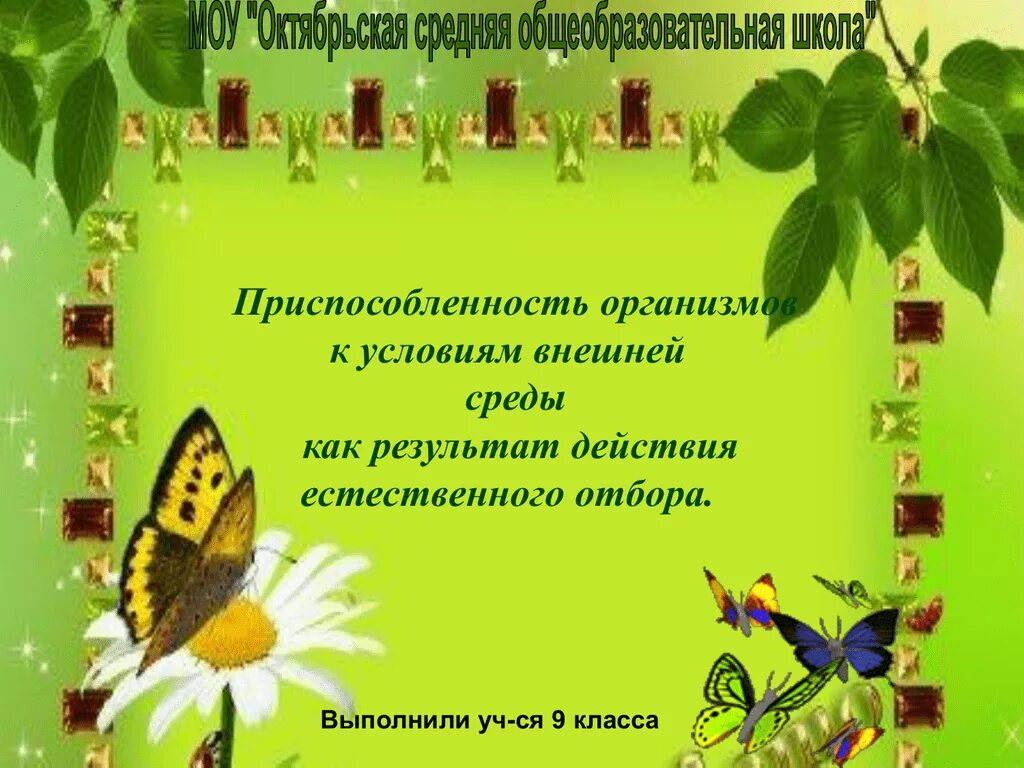 Приспособленность организмов к условиям внешней среды. Приспособленность организмов к условиям внешней среды результат. Приспособленность организмов как результат естественного отбора. Приспособления организма к условиям внешней среды 9 класс. Приспособленность организмов презентация 9 класс