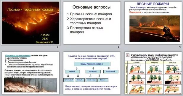 Лесные и торфяные пожары. Причины лесных и торфяных пожаров. Характеристика лесных и торфяных пожаров. Причины возникновения торфяных пожаров.