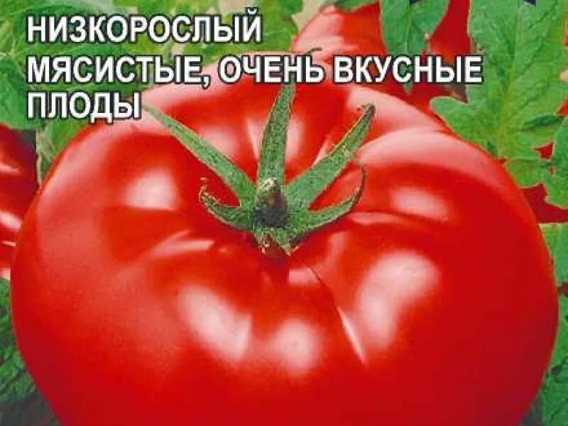 пухляш семена алтая. семена томат розовый гигант. томат сибирский великан розовый. сорт семян помидор -воловье ухо. пухляш семена алтая.