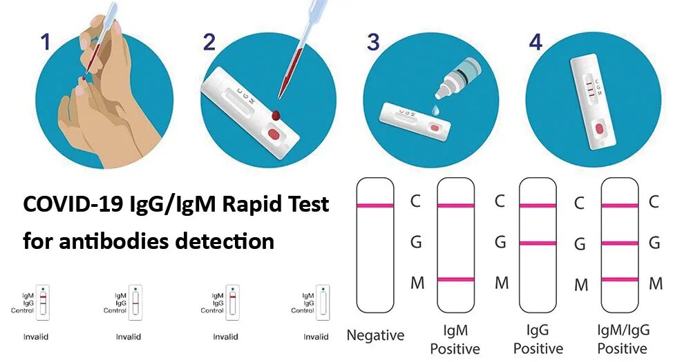 Результат теста covid 19. Экспресс теста на Covid-19 IGM+IGG. Экспресс тест результат. Как сделать экспресс тест. Экспресс-тест на ковид Результаты.