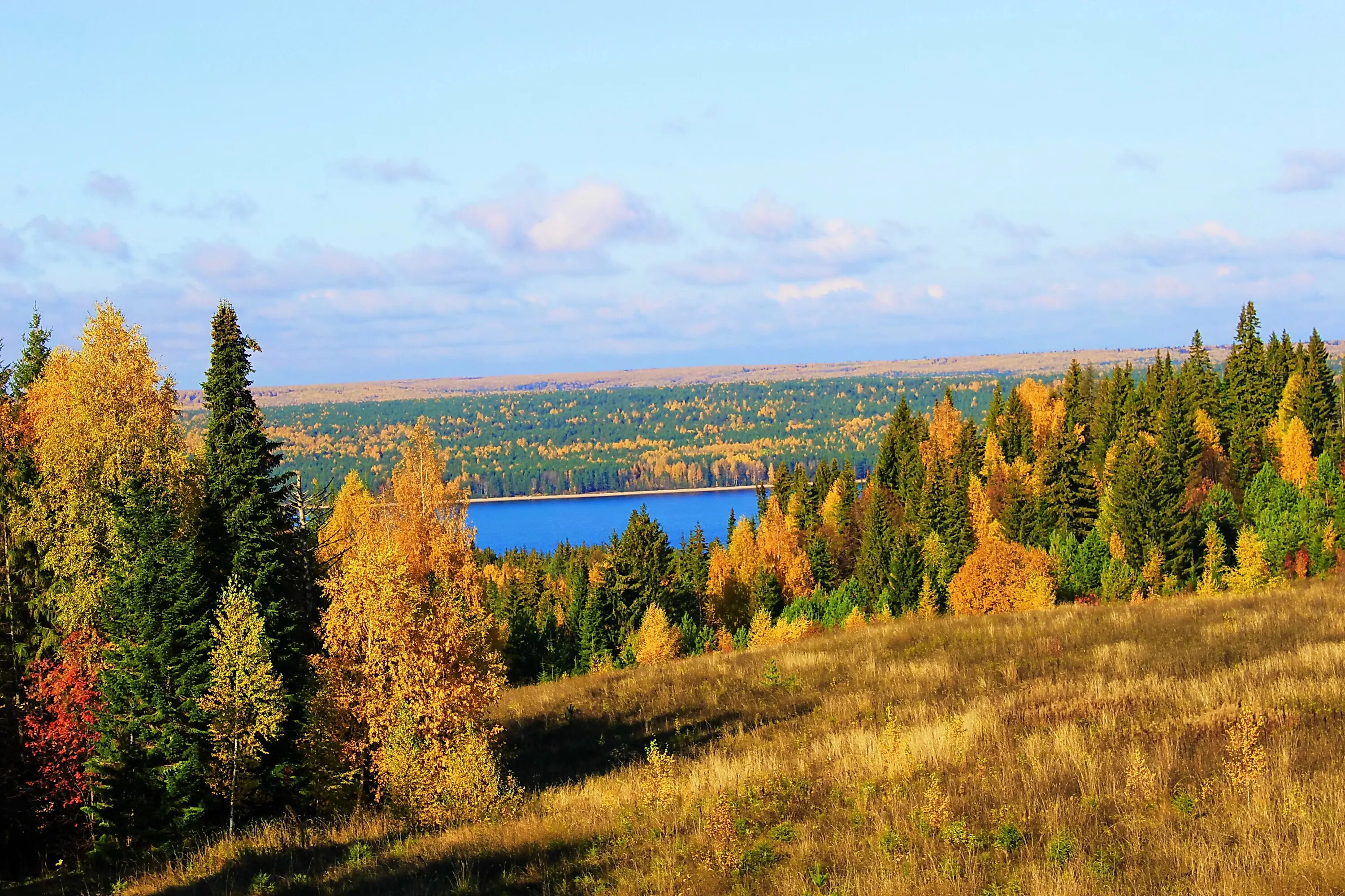 Came forest. Вятские леса Кировская область. Национальный парк Вятка Кировская область. Река Кама в Кировской области. Река Кама Марий Эл.