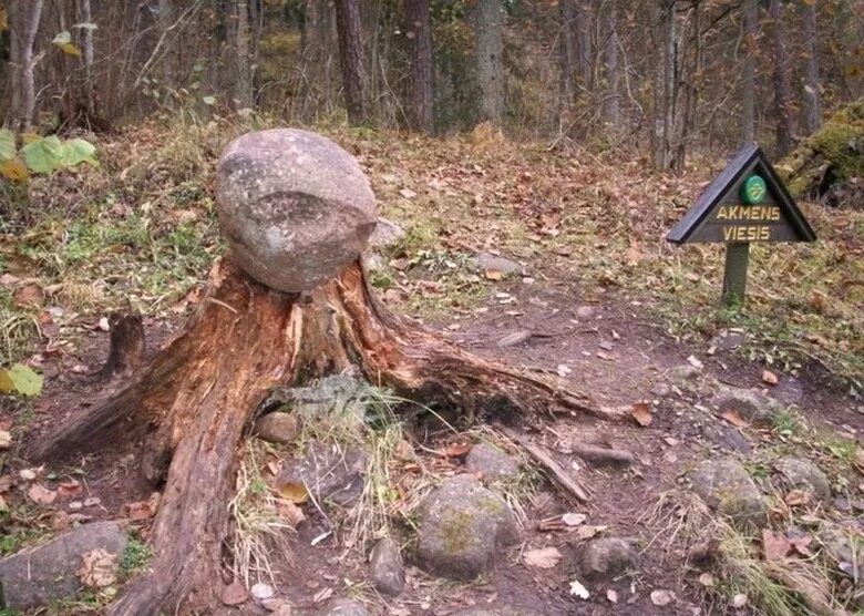 Где больше аномалий. Покайнский лес в Латвии. Покайнский лес Латвия фото. Аномальные места. Аномальная зона.