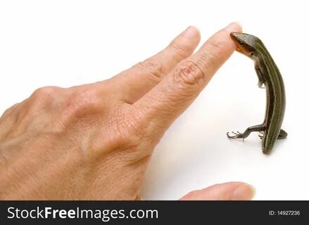 Biting hand