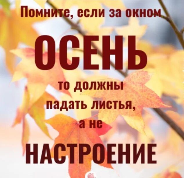 Осень листья высказывания. Настроение осень цитаты. осеннее настроение цитаты. помните осенью должны падать листья а не настроение. цитаты про осень.