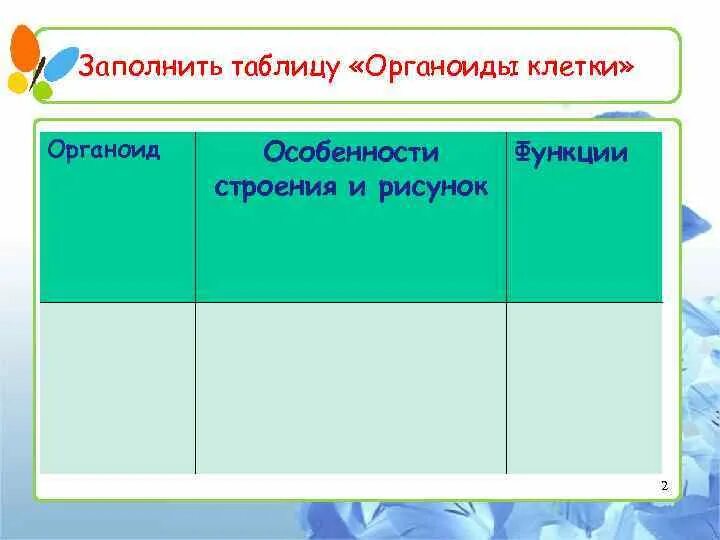 Составить таблицу органоиды строение функции