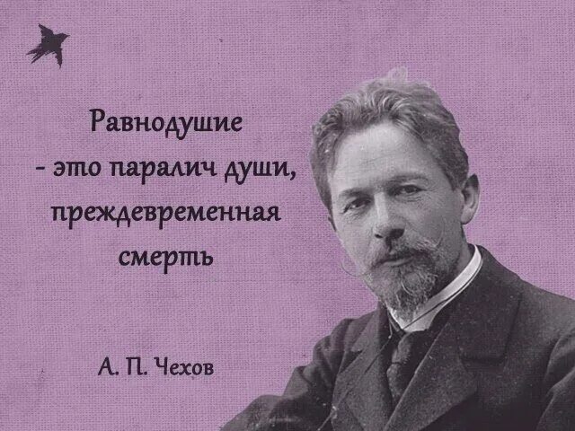 Равнодушие паралич души преждевременная. Высказывания о равнодушии. Равнодушие цитаты. Чехов равнодушие это паралич души. Цитаты про равнодушие людей.