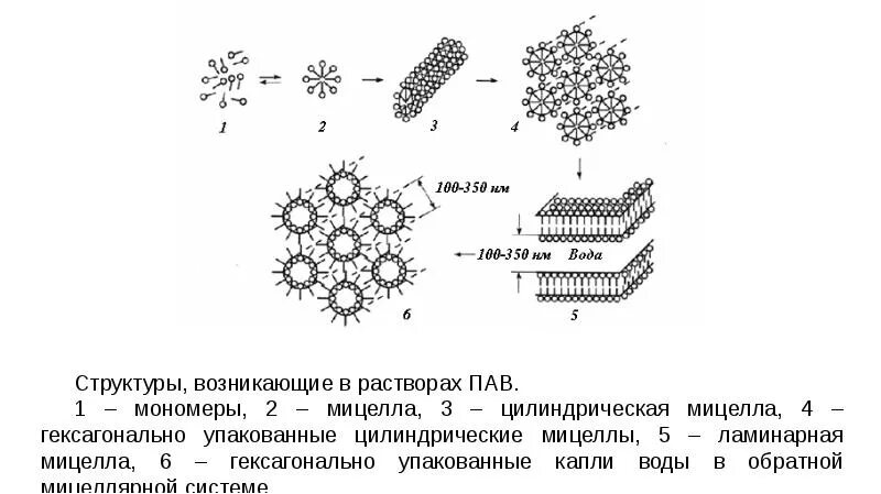 Водный раствор пав. Строение мицелл пав. Строение мицелл коллоидных пав. Поверхностно-активные вещества в водных растворах. Поверхностно-активные вещества строение.