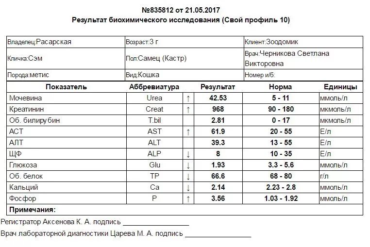 Моча после тур операции. Показатели мочи при онкологии мочевого пузыря. Лабораторные показатели мочи при опухолях мочевого пузыря. Анализ мочи при камнях в мочевом пузыре. Анализ мочи при опухоли мочевого пузыря.