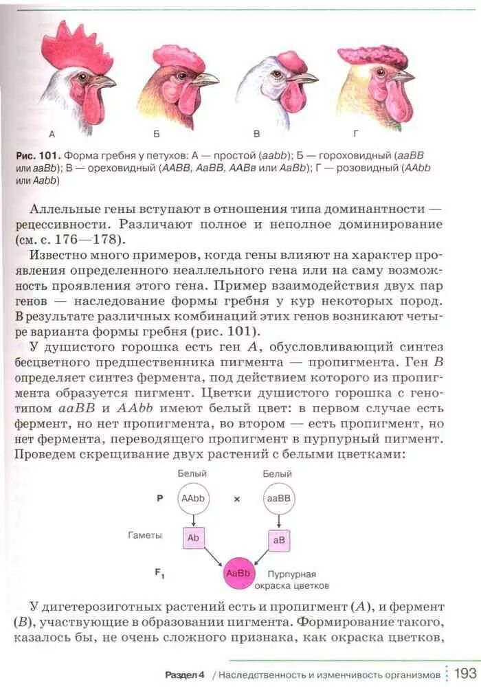 Краткое содержание биологии 9 класса. Учебник по биологии 9 класс Мамонтов Захаров Сонин. Учебник по биологии 9 класс Сонин Захаров. Биология 9 класс Мамонтов Захаров Агафонова Сонин Дрофа. Учебник по биологии 9 класс Мамонтов Захаров Агафонова Сонин.