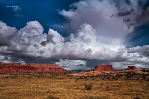 Горизонт американская