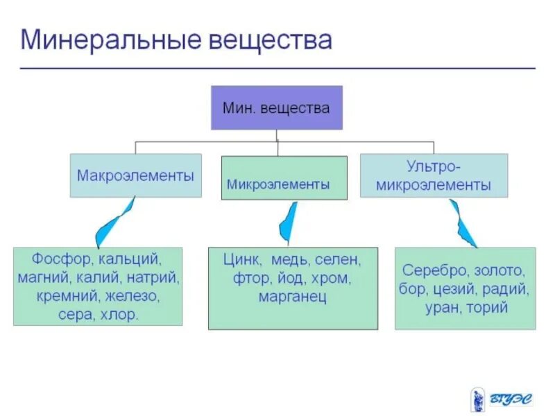 Классификация Минеральных веществ. Классификация Минеральных веществ в питании. Минеральные вещества классификация Минеральных веществ. Минеральные компоненты пищи классификация.