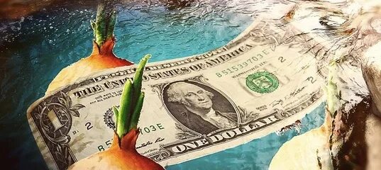 Обряд денежная река. Обряд денежный урожай. денежный ритуал 5 мая. подушка денежная река. пасхальные ритуалы на деньги.